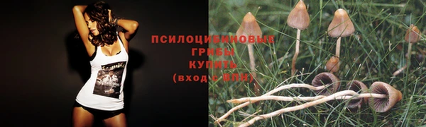 кокаин перу Вяземский