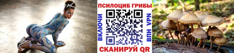 Псилоцибиновые грибы MAGIC MUSHROOMS Дубовка