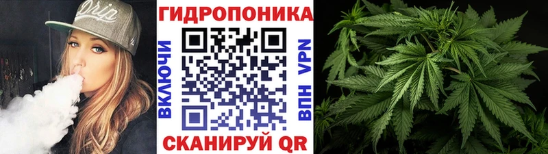 ОМГ ОМГ ссылки  купить наркотики сайты  Дубовка  Шишки марихуана White Widow 